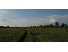 IMG 20190528 165133.jpg