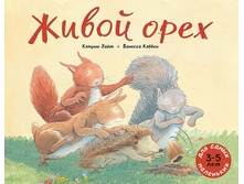 ����� ����