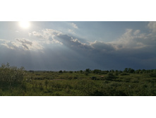 IMG 20190528 174802.jpg