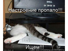 ���������� �������! ����!!!