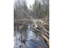 �������� ����