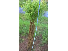 WP 20190522 17 37 39 Pro.jpg