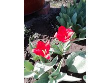 IMG 20190510 091450.jpg