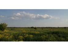 IMG 20190528 174534.jpg