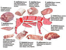 ���� ������