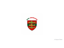 51. ��� ������� - �������