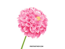 Ax162 ���� 85 �.jpg