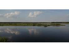 IMG 20190528 173359.jpg