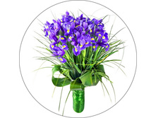 V14 �����!! ���� 436 �.jpg