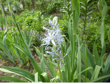 P1090113.JPG ��������   120�.