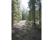 ������ �� ����Σ�� �� ������