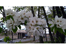 IMG 20190503 152324.jpg