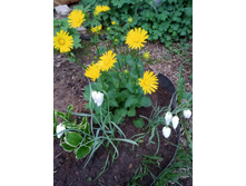 ���������. 30 �. - �������.