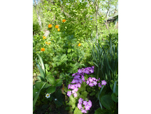 P1090112.JPG ������� ��������.