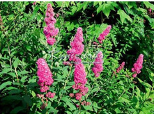 : ������ ���������� �2 130� 1��