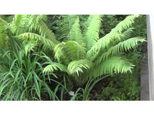 ��������� ���������