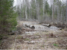 ���� ����� ���� ����