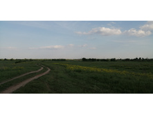 IMG 20190528 175645.jpg