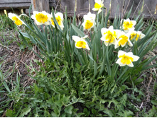 ������� Love call