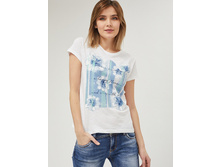 �������� J6832