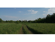 IMG 20190528 165121.jpg