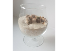 ����-���������� "������� � �����...". ���� 300�