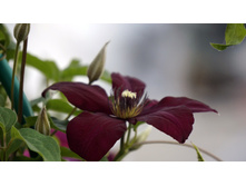 �������� ������������