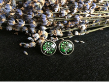 ������ (48).jpg