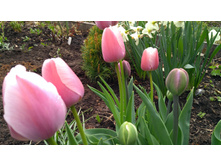 IMG 20190503 145524.jpg