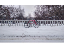 IMG 20190129 212922.jpg