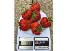 ��������� ����� ��� ������������ ���, 50��� (�������� 18��).jpg