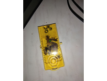 IMG 20190613 161208.jpg