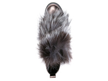 MD2572-A545-1920-7 (4).jpg