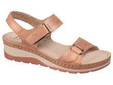 6525-A21 ��������� ������� Evalli �������.JPG