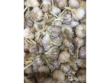 ������ ���������� 5 �������, 125���. �� 450� (�������� 10�� �� 450�).jpg