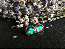 ������ (99).jpg