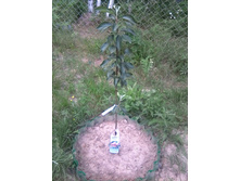 ������ �� �������� ������ ��������� ��������� 2019�