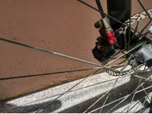 IMG 20190615 123611 HDR.jpg