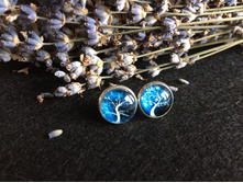 ������ (26).jpg