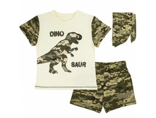 �������� �������� � ����� � �������� �������:955/952/195� ��   271���