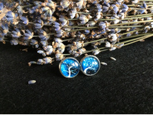 ������ (69).jpg