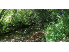 IMG 20190616 151825.jpg