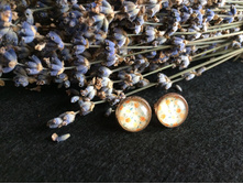 ������ (7).jpg