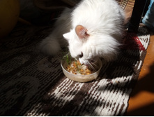 IMG 20190612 095224 1.jpg