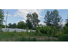 IMG 20190616 162312.jpg