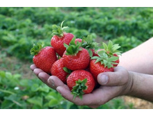 ��������� ��� II ������������ ���, 50��� (�������� 5��).jpg