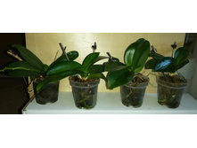 IMG 20190606 094431.jpg