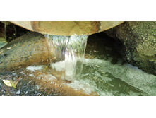 IMG 20190616 152021.jpg