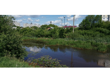 IMG 20190616 150433.jpg