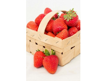 ��������� ��������� ������ ��� 50��� (�������� 15��).jpg